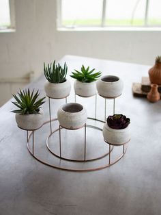 four white planters with succulents in them sitting on a metal stand