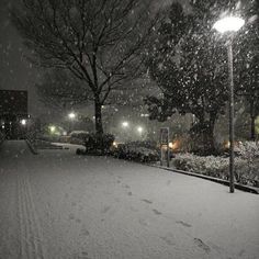 the snow is falling and there are lights in the distance