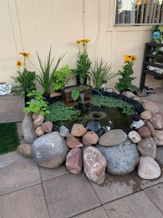 a fish pond surrounded by rocks and plants in front of a house with yellow flowers