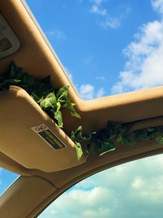 the interior of a car with ivy growing on it's dash board and sunroof