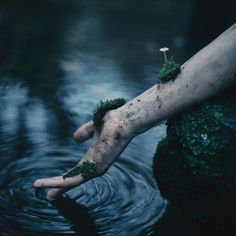 a person is floating in the water with moss on their arm