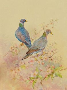 two birds sitting on top of a tree branch with pink flowers in the foreground