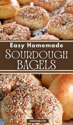 Homemade sourdough bagels are surprisingly easy to make with this perfect bagels recipe using sourdough starter. Start your day with a soft and chewy bagel whether it be a plain bagel, everything bagel, or a sourdough bagel with your favorite topping. The best breakfast bagel recipe is one click away at Idie's Farm!