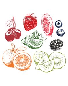 an image of different fruits on a white background