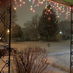 christmas lights hanging from the side of a building on a snowy day with trees in the background