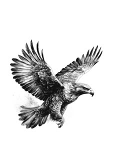 an eagle flying through the air with its wings spread