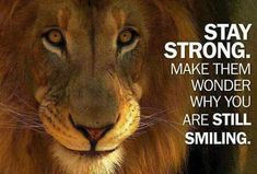 a lion with the words stay strong, make them wonder why you are still smiling