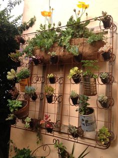 a wall mounted planter filled with potted plants