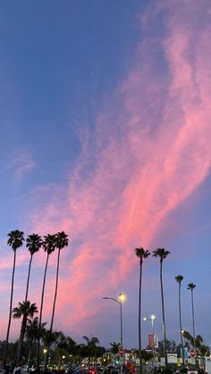 palm trees line the street at dusk with pink clouds in the sky and cars parked on the side