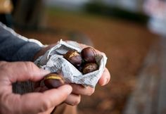 a person holding something in their hand with some nuts on it's wrapper