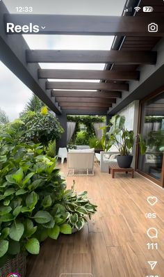 an outdoor patio with wooden flooring and plants