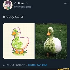 an image of a duck that is made to look like it's eating grass