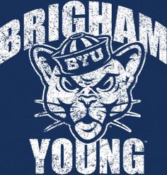 the young tigers logo is shown on a dark blue t - shirt with white lettering