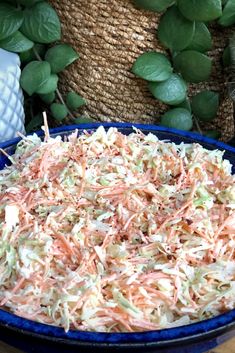 a blue bowl filled with coleslaw next to potted plants