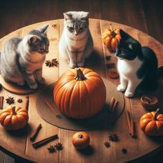 two cats are sitting on a table with pumpkins and cinnamon stick decorations around them