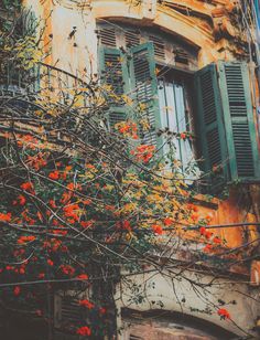 an old building with green shutters and red flowers