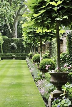 a lush green lawn surrounded by trees and bushes