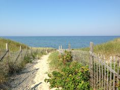 a sandy path leading to the beach with grass and flowers on either side that leads to the ocean