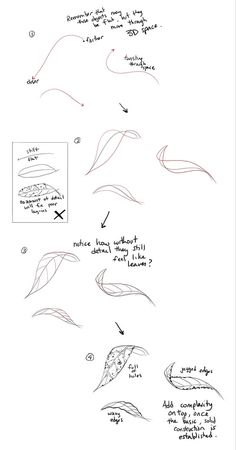 the steps to draw leaves in different ways