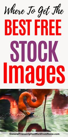 the words where to get the best free stock images are in red and pink letters