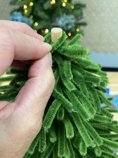 someone is holding a small green christmas tree