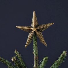 a gold star ornament sitting on top of a pine tree next to a blue background