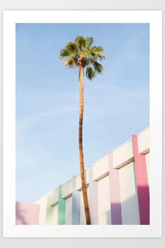 a palm tree in front of a multi - colored building