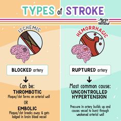 Ischemic Strokes, Different Types Of Strokes, Types Of Strokes, Emt Study, Medical Terminology Study, Medicine Notes, Medical School Life