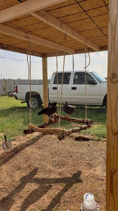 two turkeys are on the ground under a covered area with a truck in the background