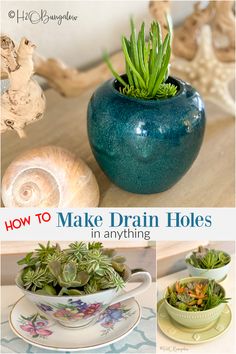 how to make drain holes in anything potted plants and seashells with text overlay that reads, how to make drain holes in anything