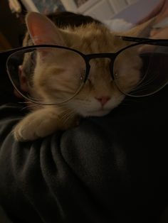 an orange cat wearing glasses laying on top of someone's shoulder in a living room