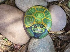 a painted turtle sitting on top of some rocks