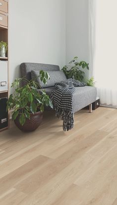 a living room with wood flooring and a gray couch next to a book shelf