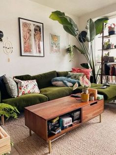 a living room with green couches and lots of plants on the shelves in it