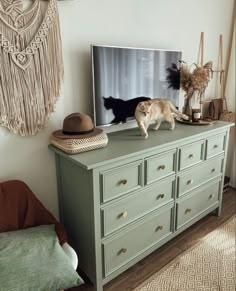 a cat is standing on top of a dresser in front of a flat screen tv