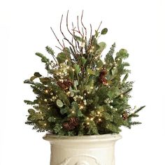 a potted plant with pine cones and greenery