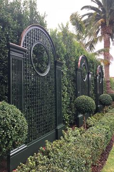 a large green gate surrounded by bushes and trees in front of a palm tree lined sidewalk