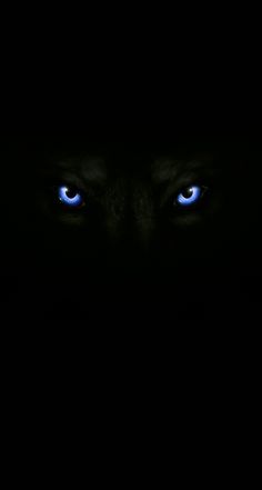 blue eyes are glowing in the dark with only one eye visible for all to see