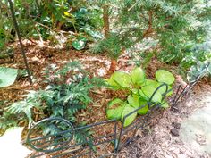 a metal planter filled with green plants next to some trees and leaves on the ground