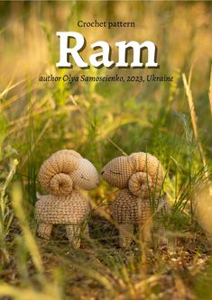 two little stuffed animals sitting in the grass with the words ram written above them on it