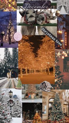 a collage of photos with christmas trees and lights