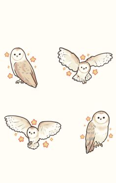 four owls flying in different directions