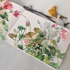 an open book with watercolor flowers on it