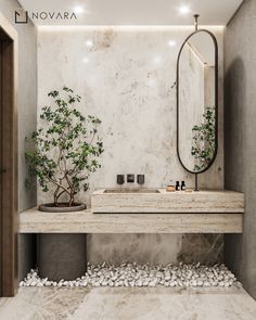 a bathroom with a sink, mirror and potted plant