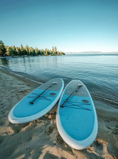 two surfboards are laying on the sand by the water's edge, with trees in the background