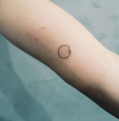 a small seashell tattoo on the arm