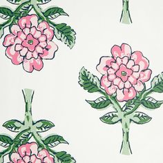 pink flowers on white background with green leaves