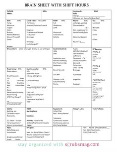 the worksheet for brain sheet with text