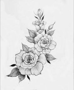 a black and white drawing of three roses