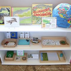 books and cards on a shelf in a children's book store with a globe